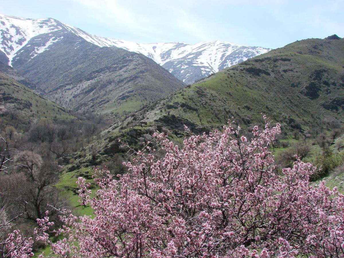 Hayat Guesthouse Nuratau Mountains Yukary-Ukhum Екстер'єр фото