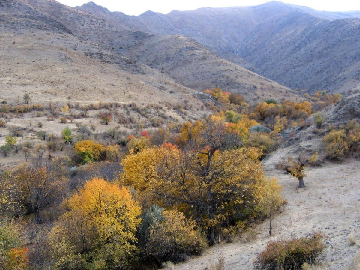 Hayat Guesthouse Nuratau Mountains Yukary-Ukhum Екстер'єр фото